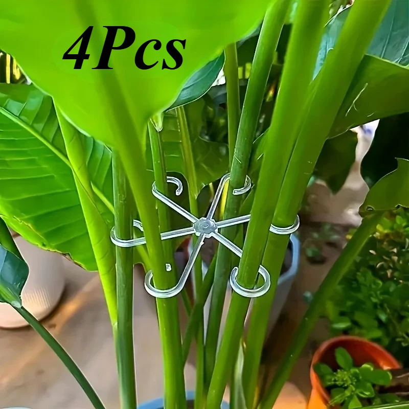 Variegated Monstera Node - 4‑Piece Plant Stem Support Clips Horticultural