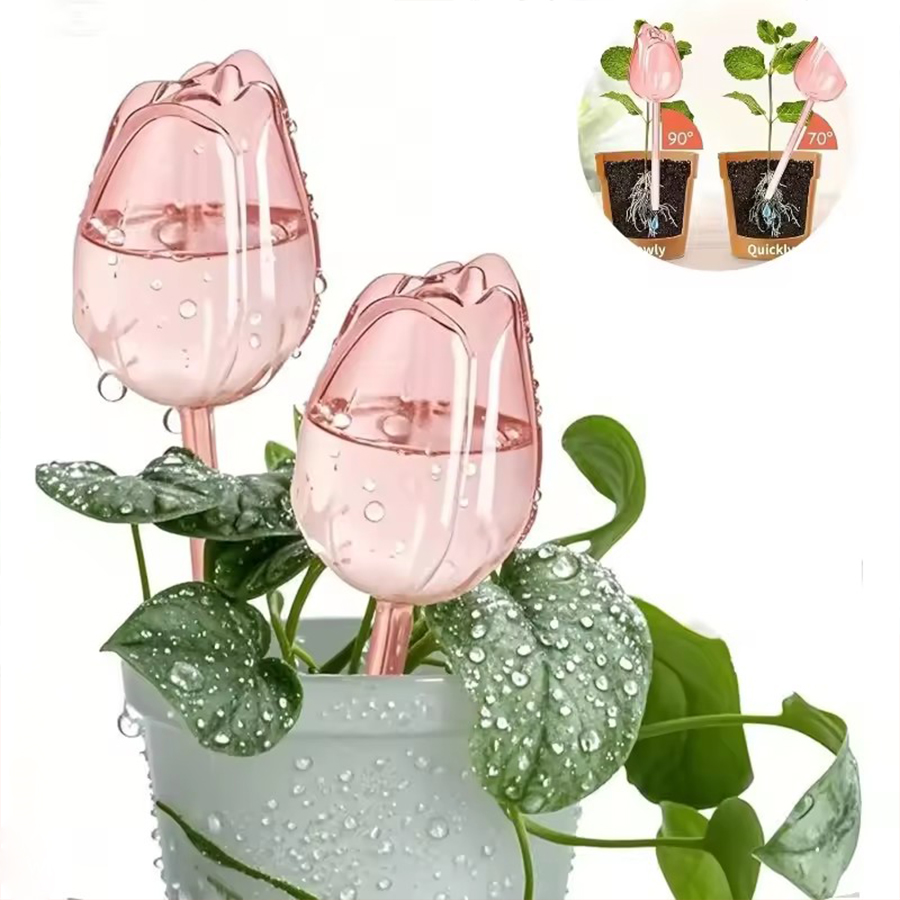 Transparent Thick PET Tulip Sh - огляд і ціна Plant Parenting