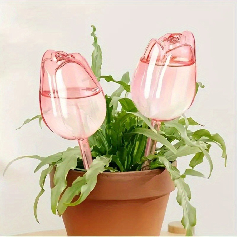 Transparent Thick PET Tulip Sh - огляд і ціна Plant Parenting