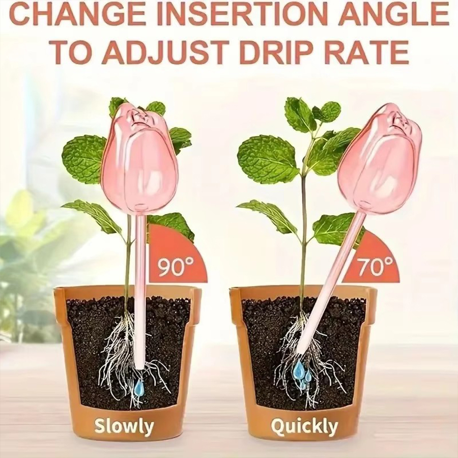 Transparent Thick PET Tulip Sh - огляд і ціна Plant Parenting