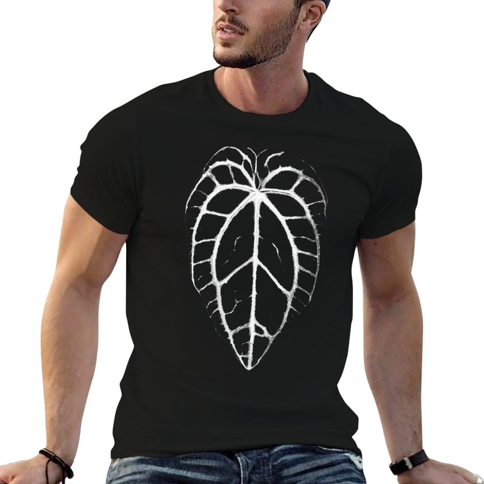 ANTHURIUM CRYSTALLINUM VEINS T - огляд і ціна Anthurium Crystallinum