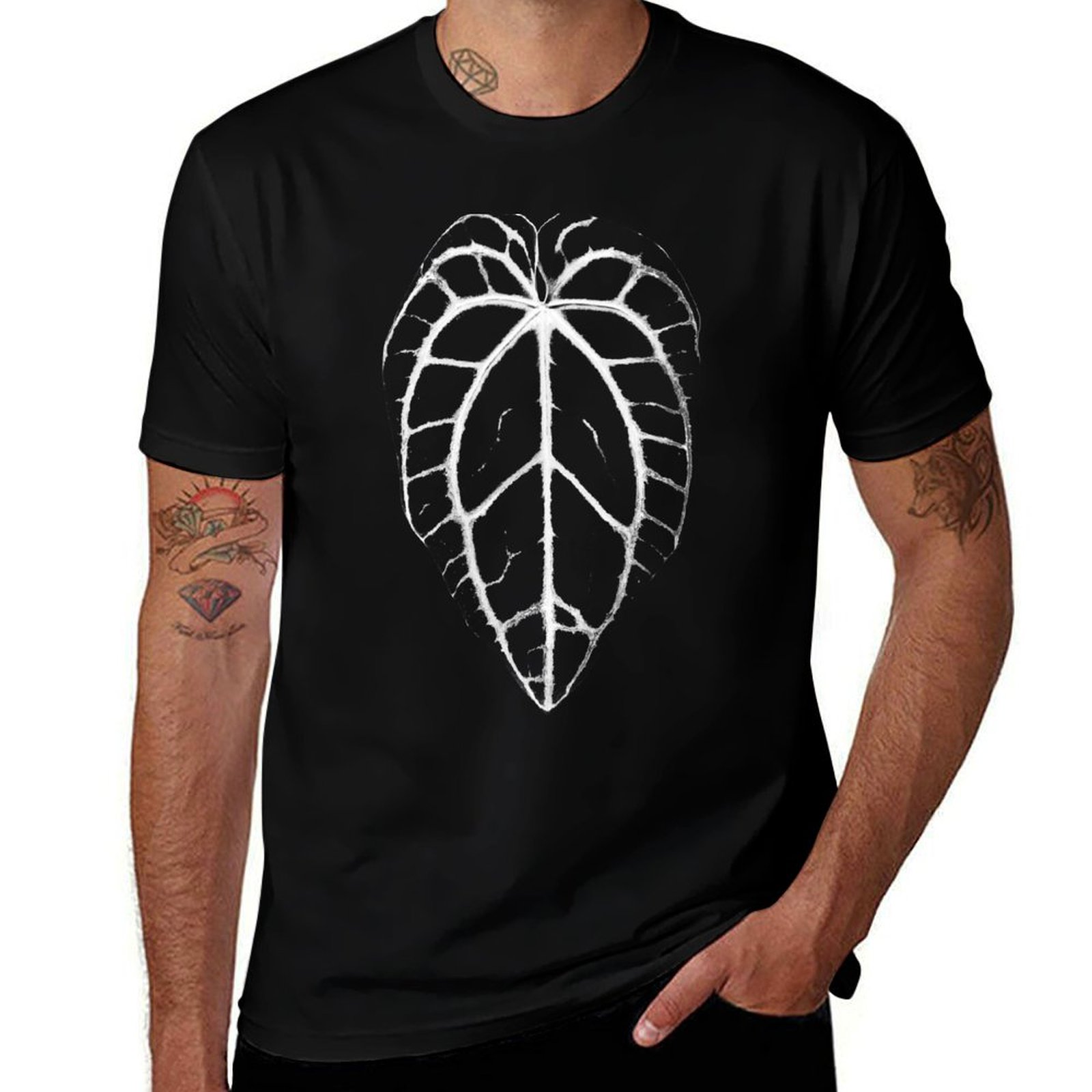 ANTHURIUM CRYSTALLINUM VEINS T - огляд і ціна Anthurium Crystallinum