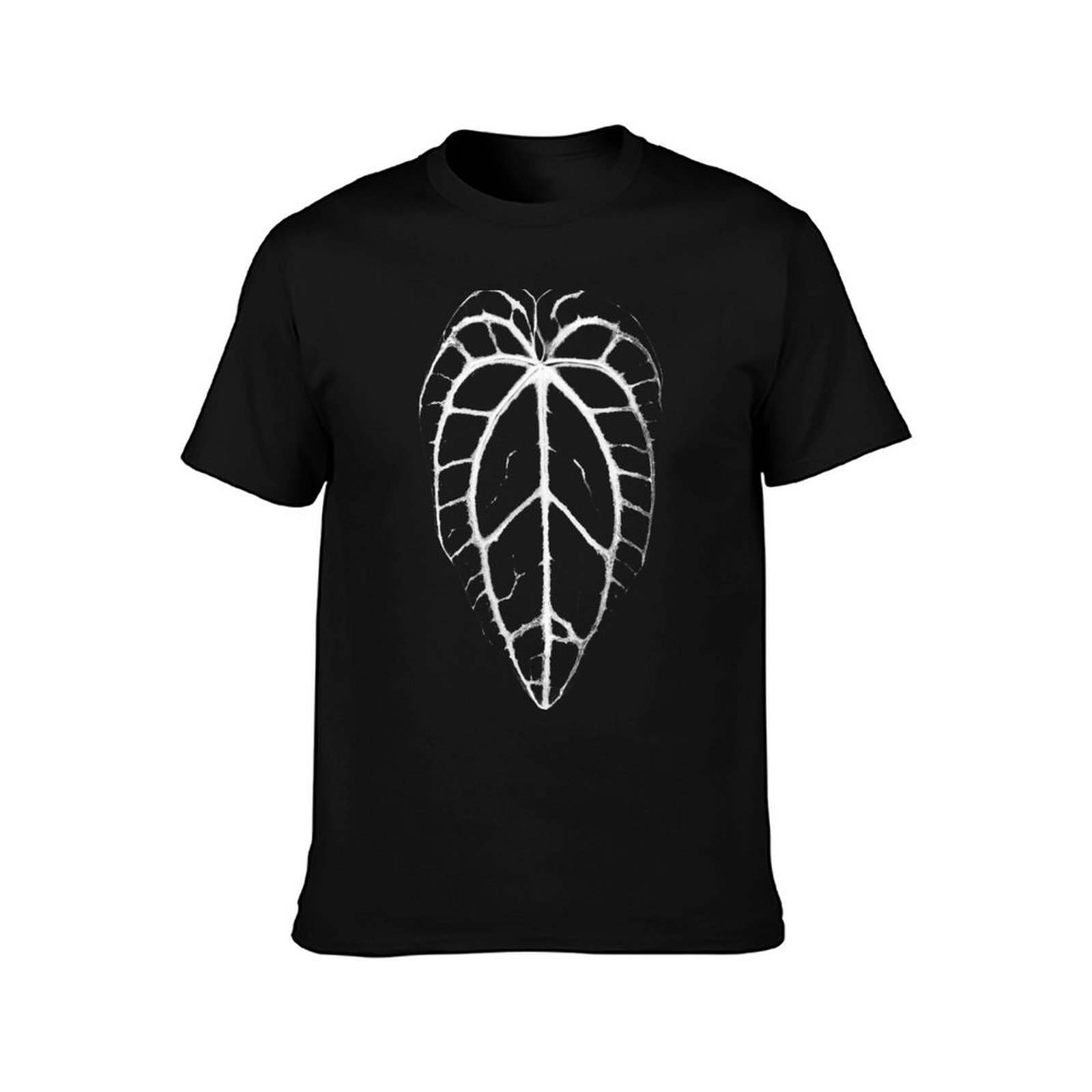 ANTHURIUM CRYSTALLINUM VEINS T - огляд і ціна Anthurium Crystallinum