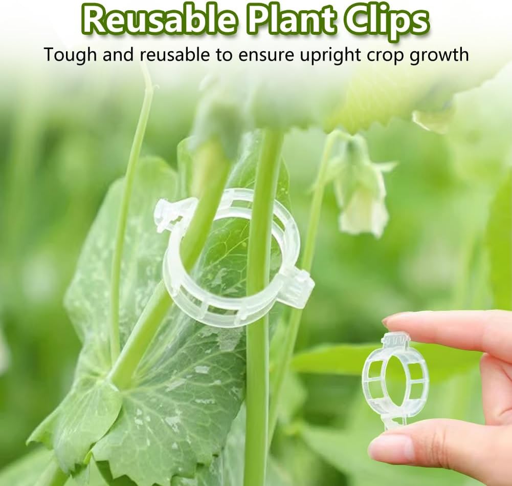 100PCS Plant Support Clips Reu - огляд і ціна Plant Parenting