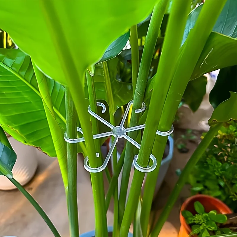 4‑Piece Plant Stem Support Cli - огляд і ціна Variegated Monstera Node