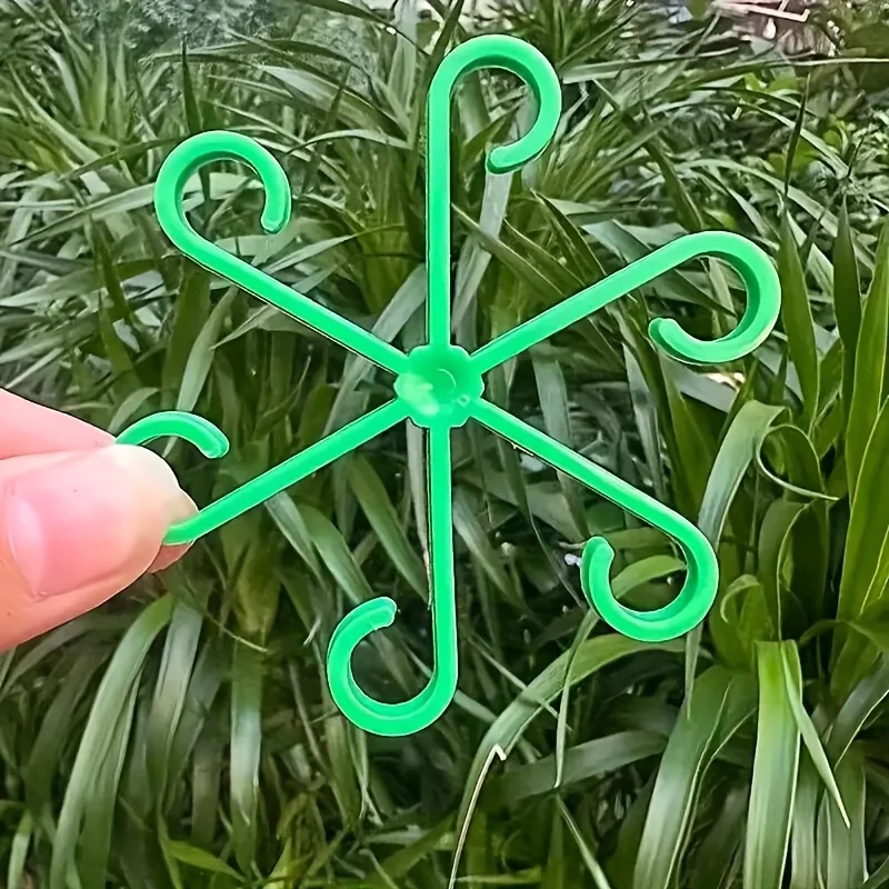 4‑Piece Plant Stem Support Cli - огляд і ціна Variegated Monstera Node