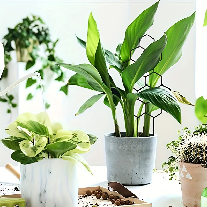 1PC Honeycomb Design Plant Tre - огляд і ціна Plant Parenting