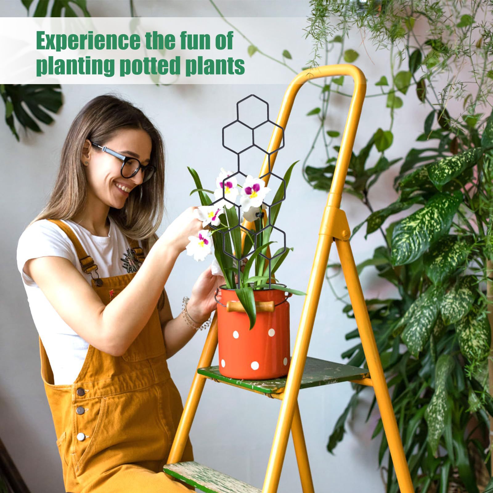 1PC Honeycomb Design Plant Tre - огляд і ціна Plant Parenting